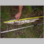 Majdalena 25.6.2008 -35.JPG